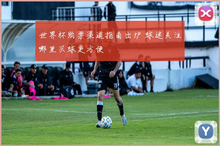 世界杯购票渠道指南出炉 球迷关注哪里买球更方便