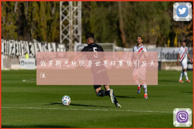 俄罗斯总统现身世界杯赛场引发关注