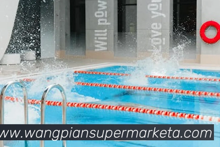 博雅app官网下载入口平台生态图