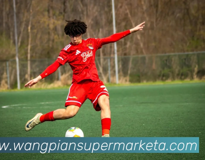 博雅app官网下载入口全站App 博雅app官网下载入口全站App